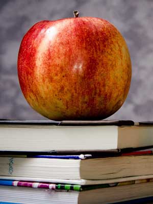 在线DDOS压力测试网页端